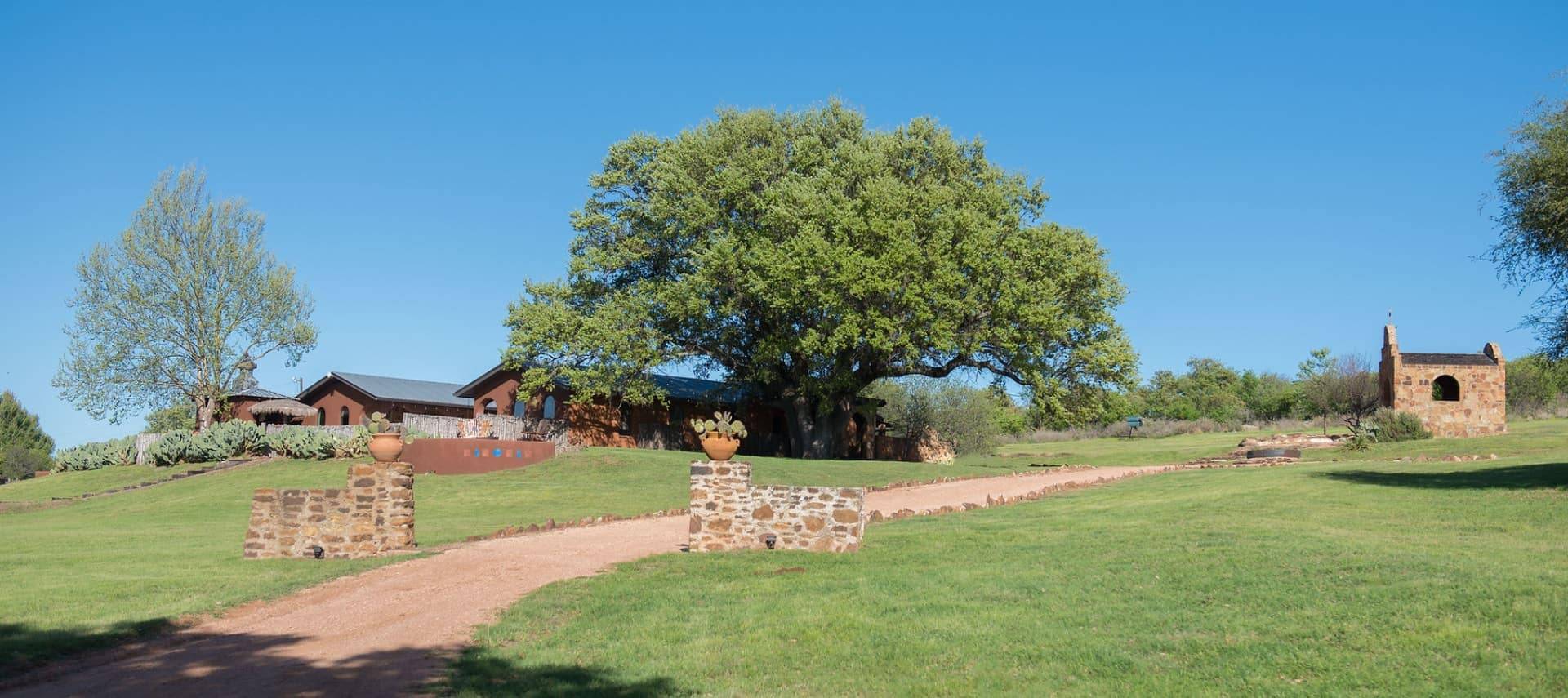 Exterior view of the property painted brown, surrounded by green grass and a few large trees